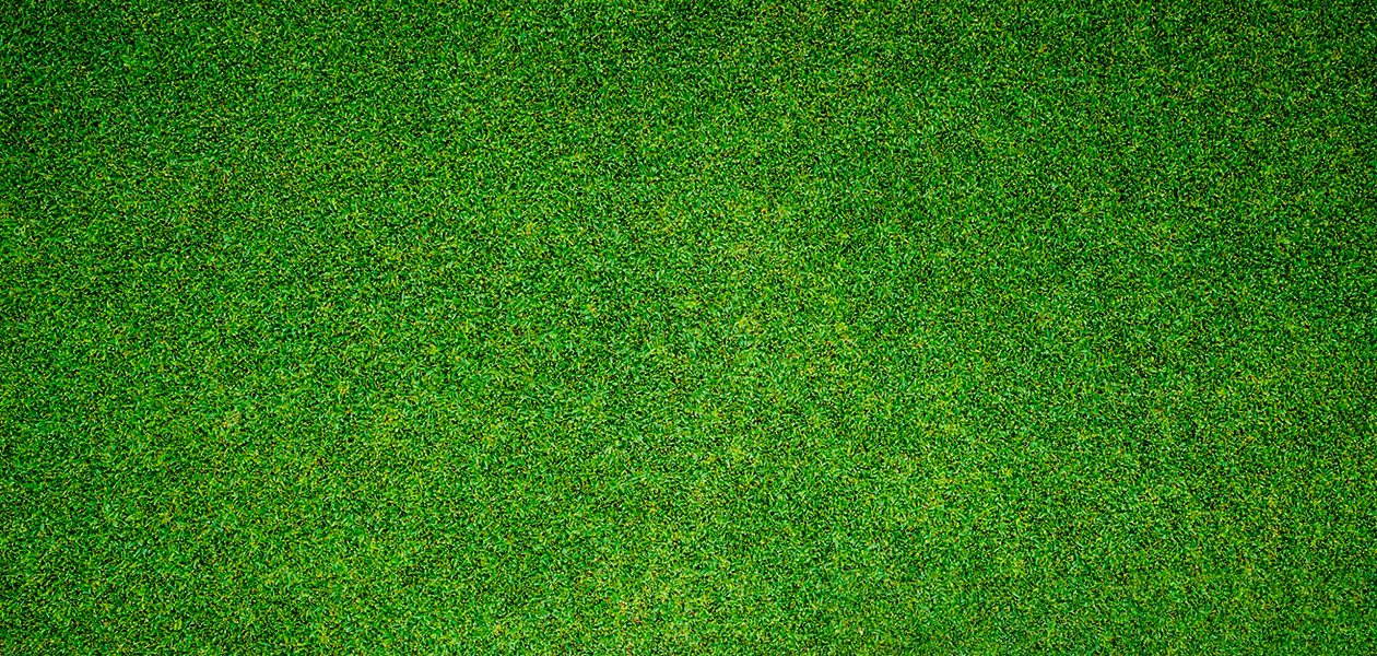 KCB Commits KShs.250 Billion for Women Entrepreneurs